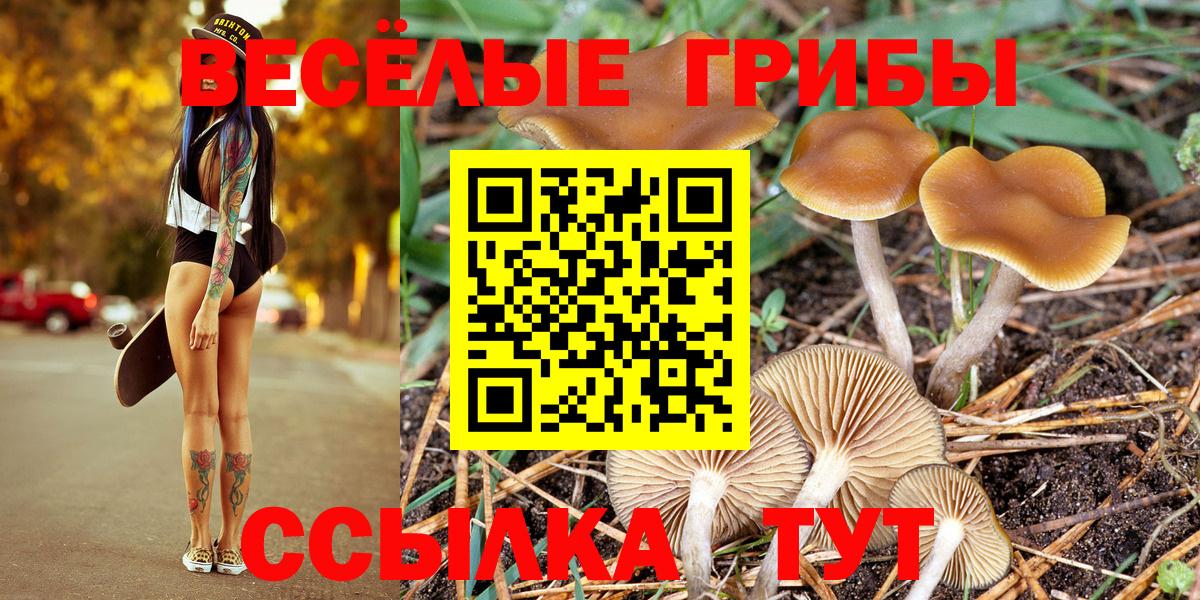 Псилоцибиновые грибы GOLDEN TEACHER Кулебаки